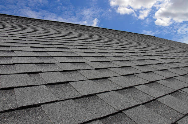 Best Roof Moss and Algae Removal  in Bedford Heights, OH